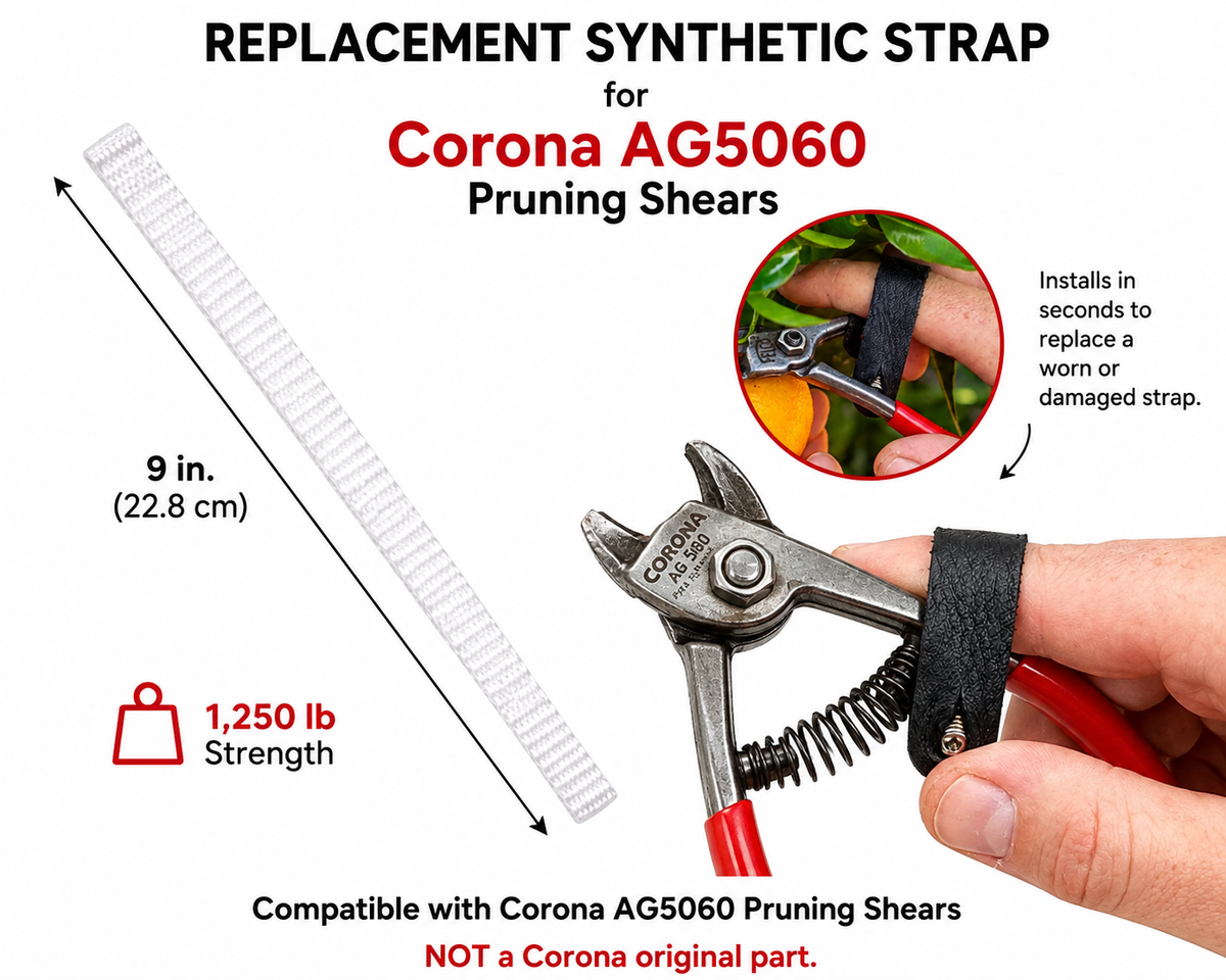 Replacement Synthetic Strap For Corona AG5060