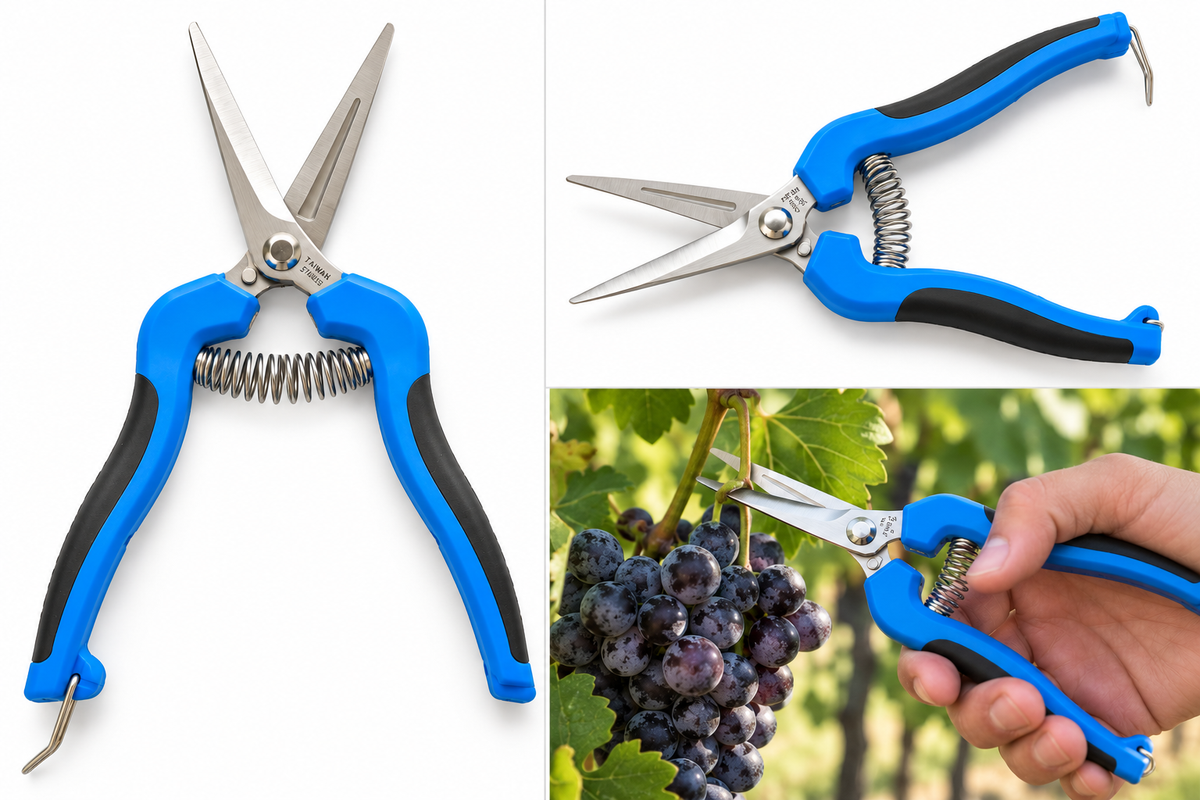 The GS750C 7.5'' Fruit & Grape Shear - Curved Blade, Blue Handle