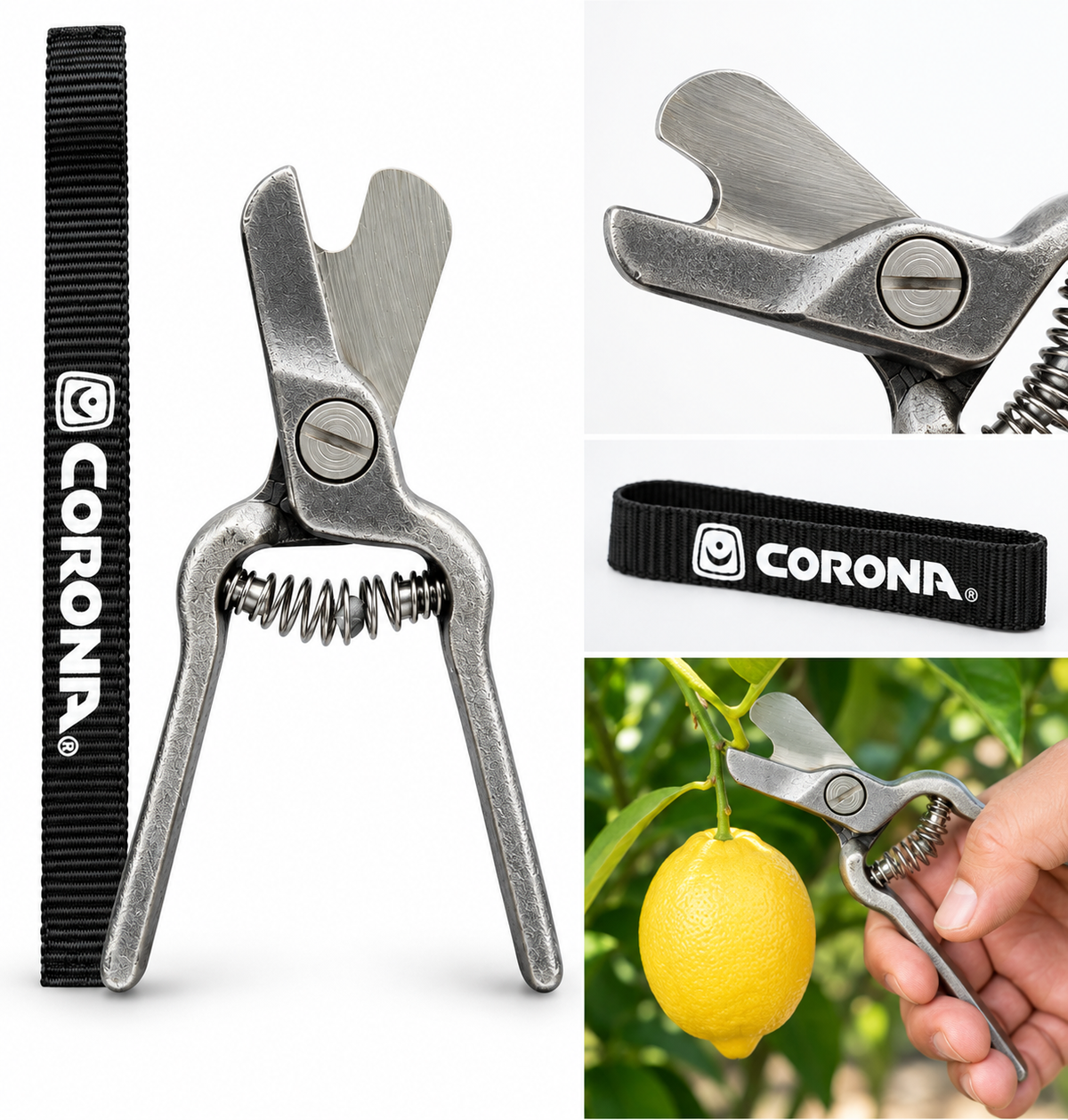 Corona AG 5010 Lemon Shears - Forged Citrus Harvesting Clipper