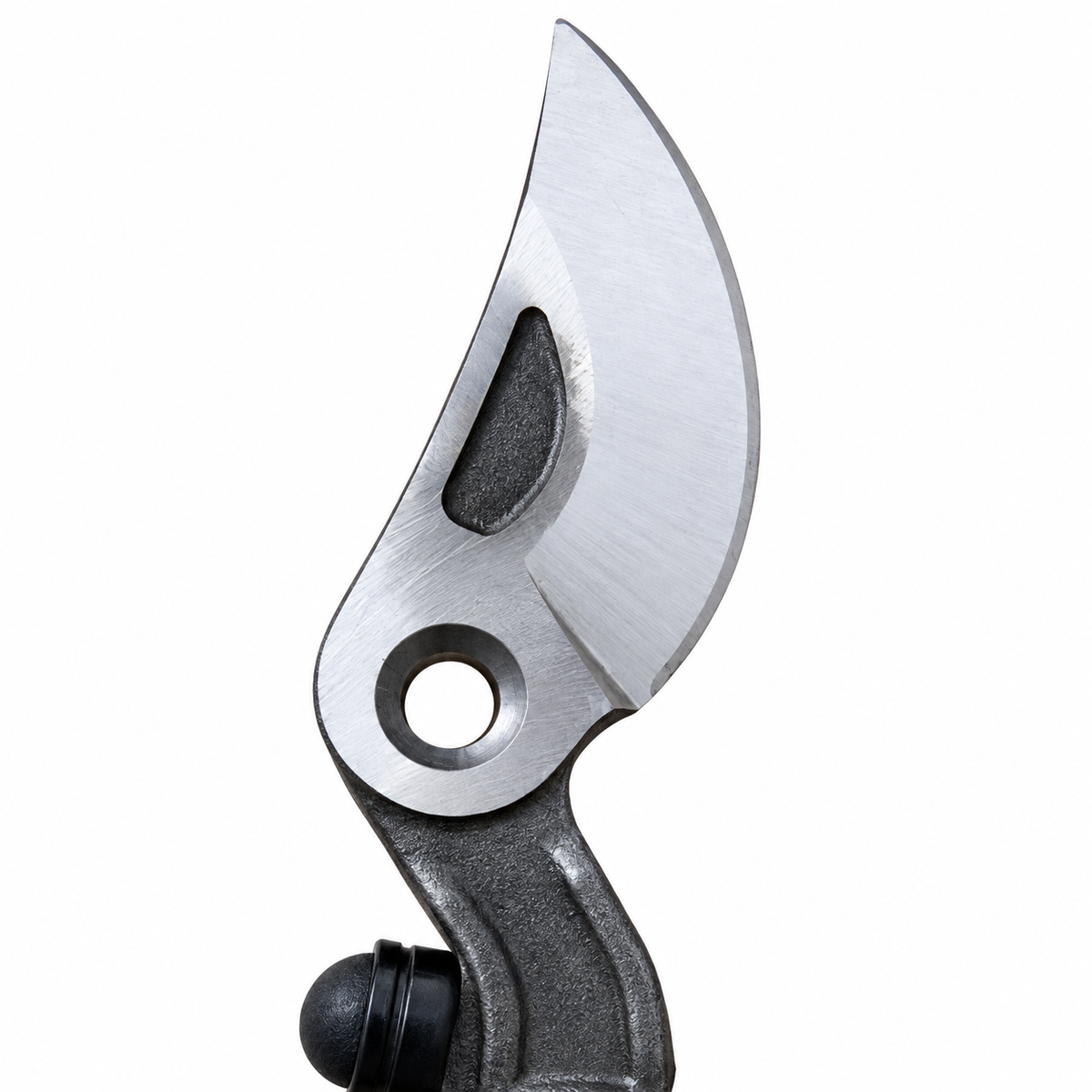 Close view of Corona 8462-1 orchard lopper cutting head and pivot