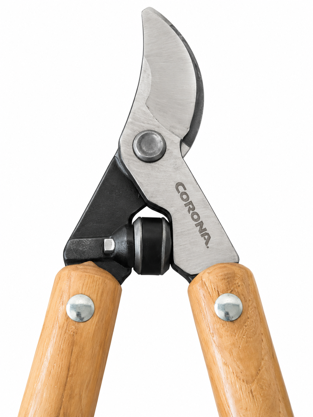 Corona WL 6310 cutting head and bumper detail on white background