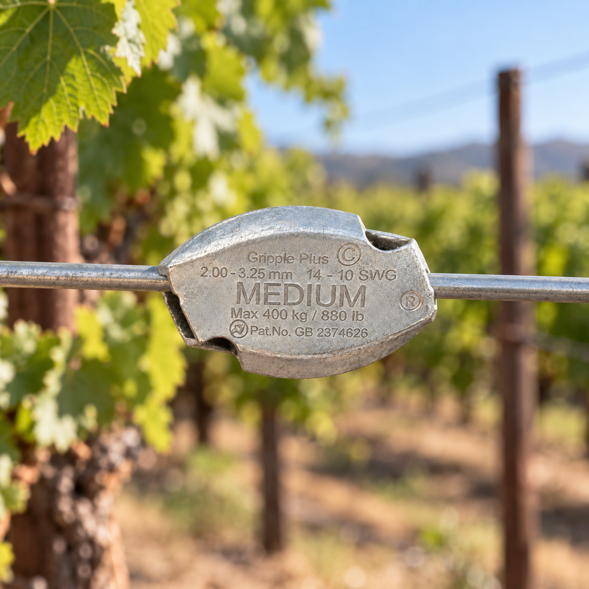 Gripple Plus Medium connector installed on vineyard trellis wire