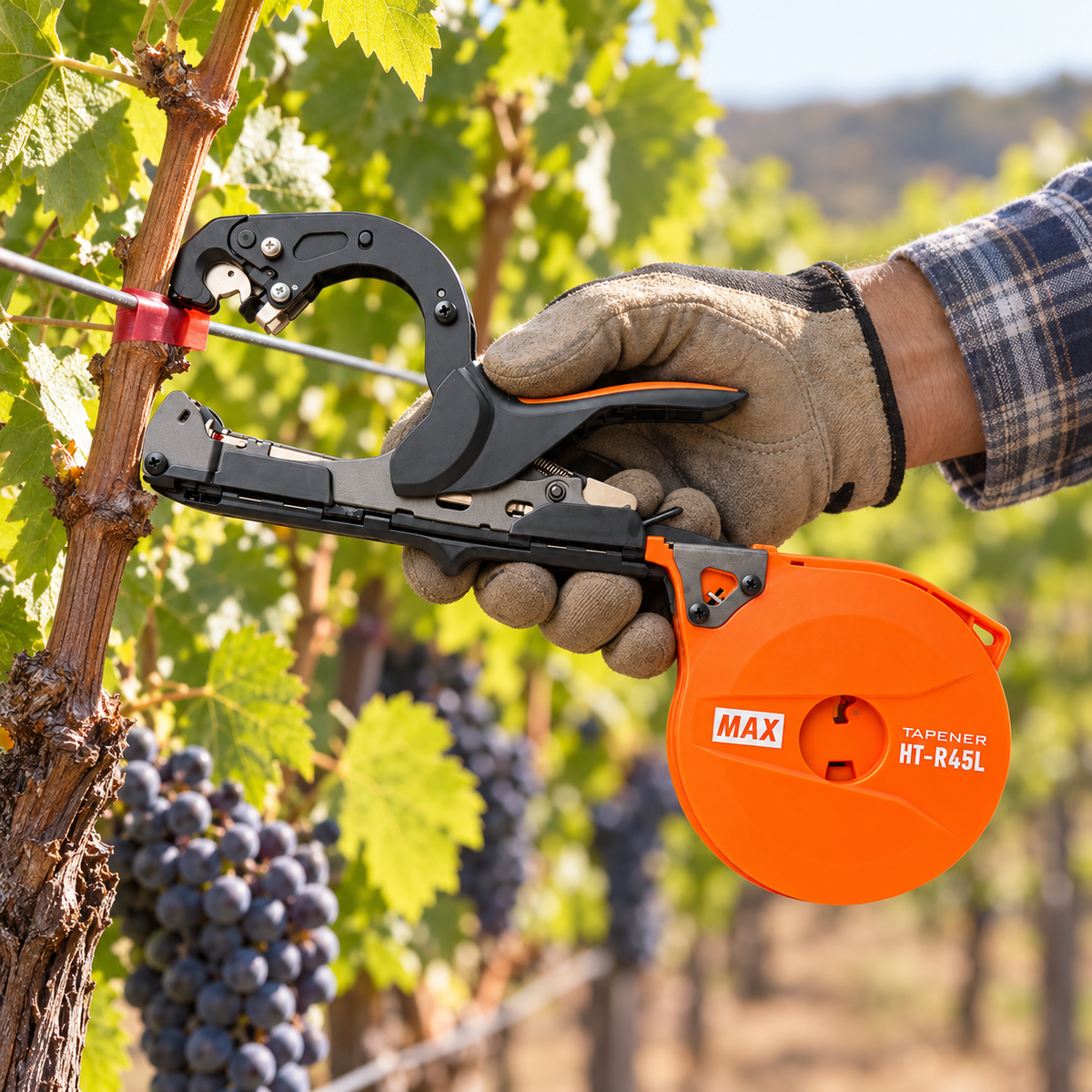 MAX HT-R45L Tapener securing grapevine to trellis wire