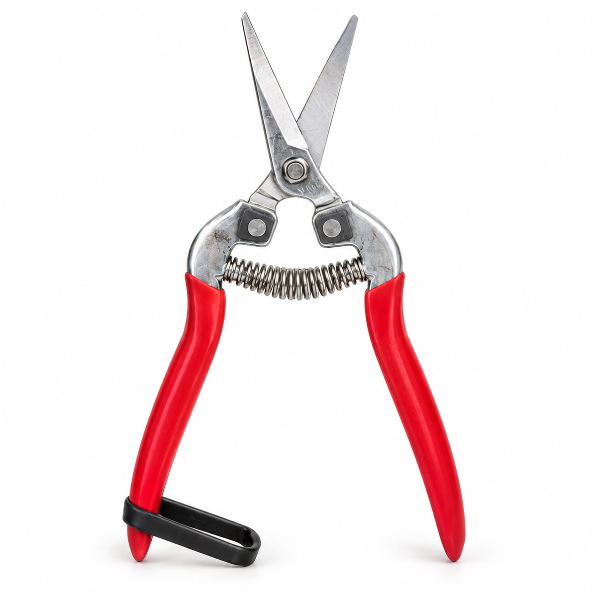Vaca Shears 5125 grape clippers with curved stainless steel blades and red handles