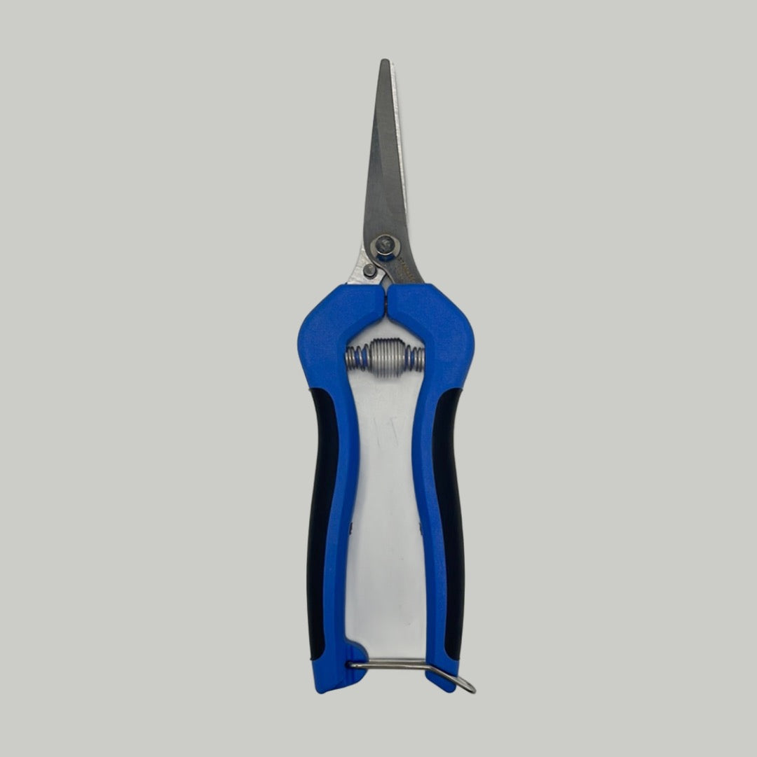 Blue Pruning Clippers