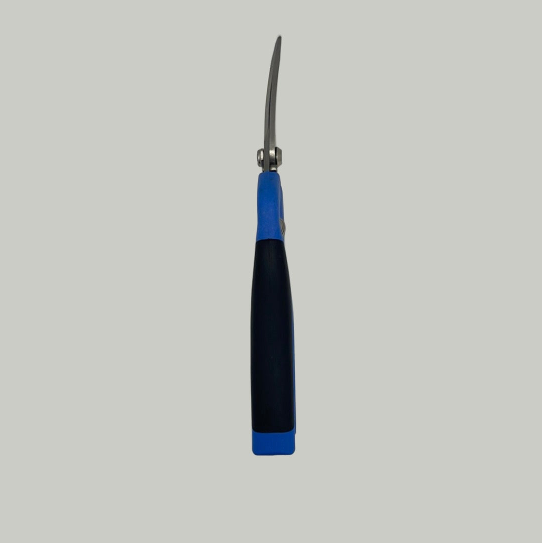 Blue Pruning Clippers