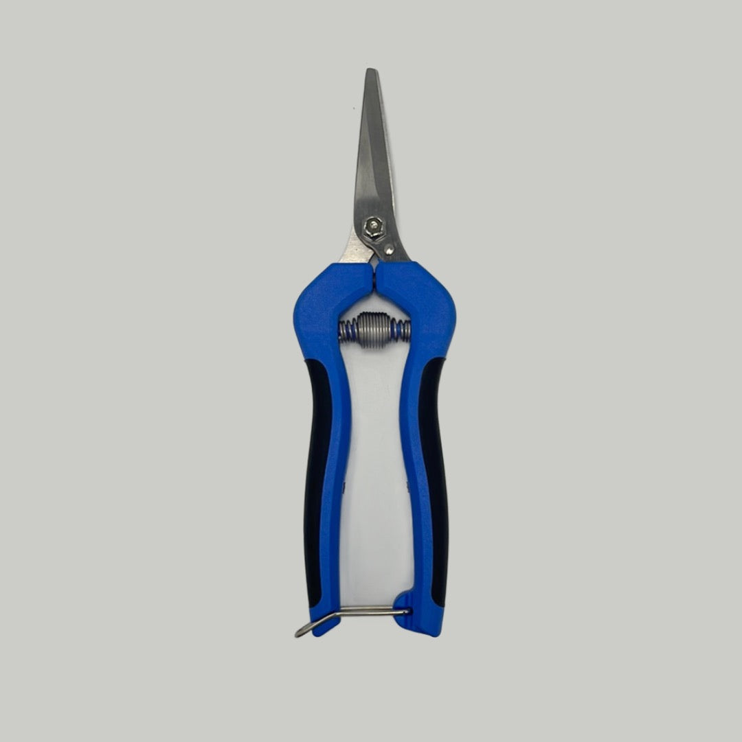 Blue Pruning Clippers