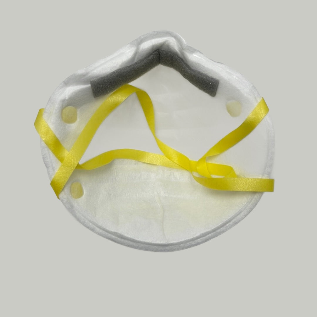 8210 Dust Mask N95